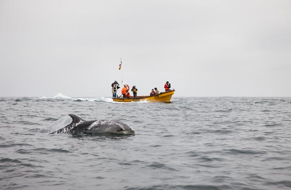 Isla Damas- Chile - AndesCampers